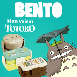 Bento Totoro